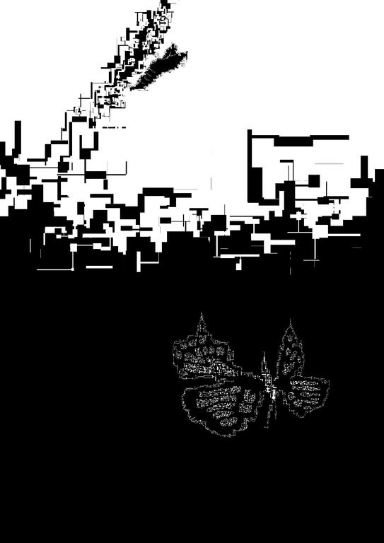 A newly emerged butterfly at a turning point—between life and death, flight and fall. Black and white abstract composition reflecting a fragile emotional state.